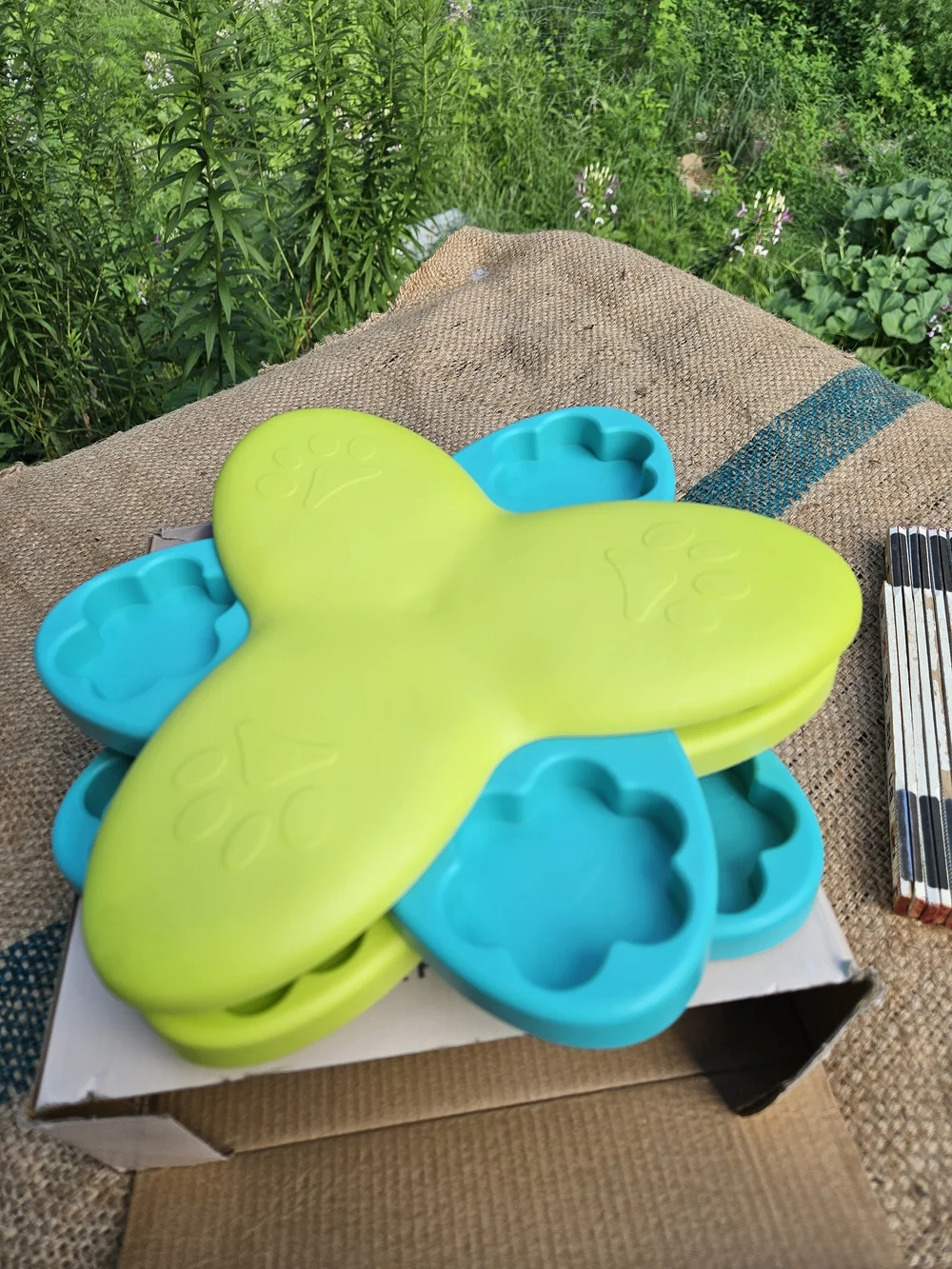 Heart to Tail Pet Food Puzzle - Bright Green & Teal Feeder Dog Treat Puzzle NEW